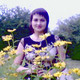 , 52