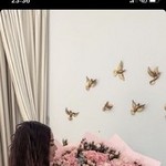, 31 (2 , 0 )